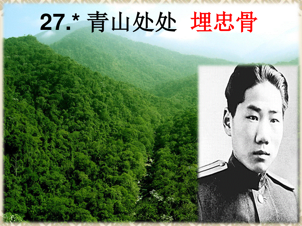 五年级语文上册《27.青山处处埋忠骨》